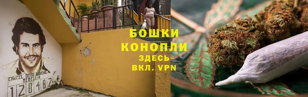 ГАЛЛЮЦИНОГЕННЫЕ ГРИБЫ Балахна