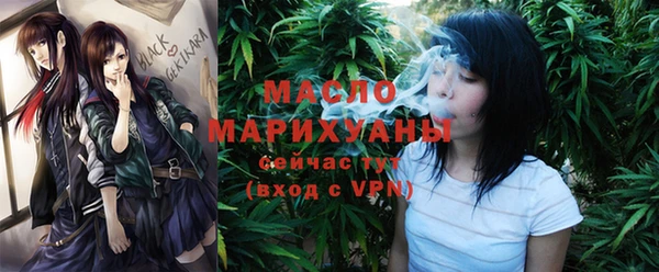 крисы Армянск