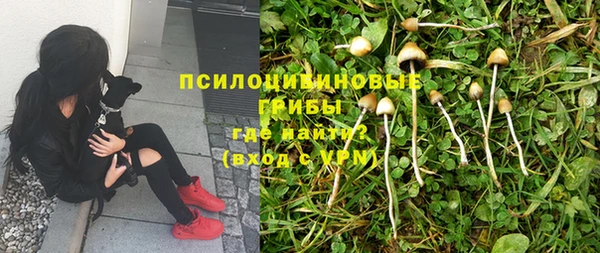 крисы Армянск