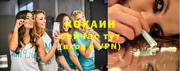 крисы Армянск