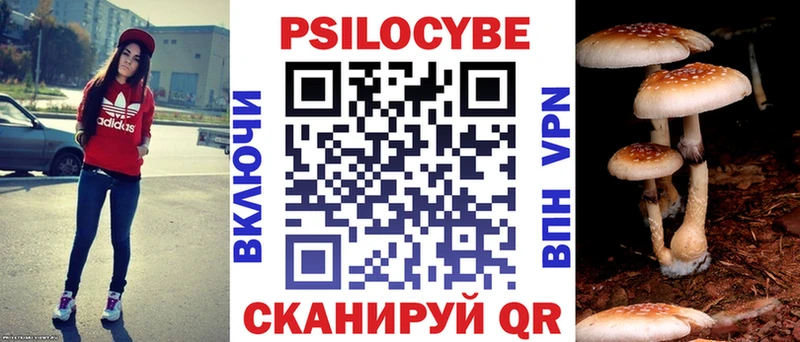 Галлюциногенные грибы мицелий  как найти   Балей 